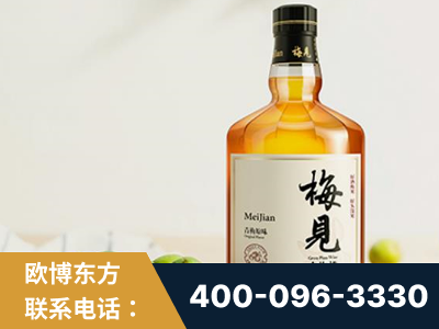 滁州-梅见青梅酒